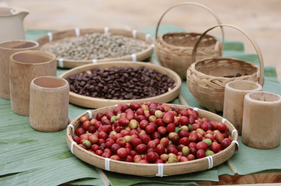 团结奋进】用咖啡串起的民族饮食文化ag真人平台第一游戏【美丽德宏(图3) 团结奋进】用咖啡串起的民族饮食文化ag真人平台第一游戏【美丽德宏(图3)